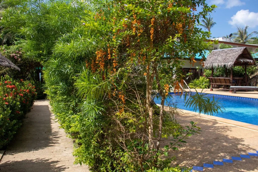 Getting Here 2 Getting here is easy!